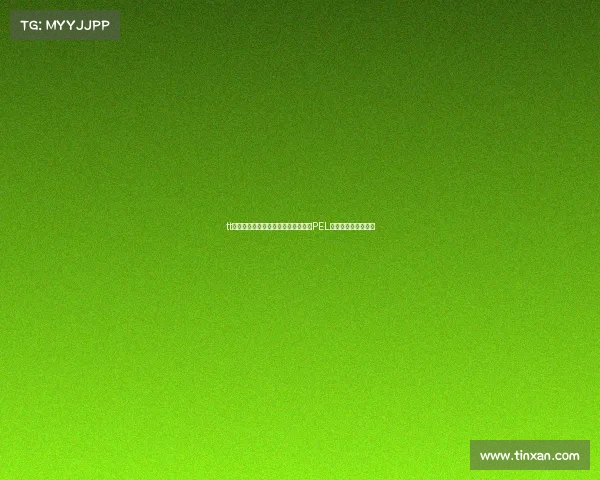 tt电子竞技微博体坛电竞盛夏巡礼：从PEL到电竞世界杯的征途