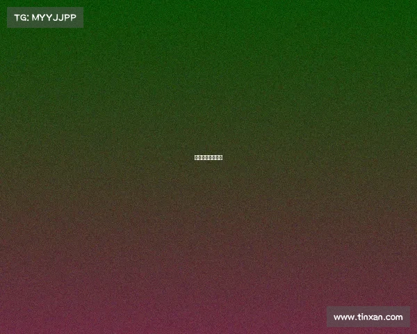 中国电子游戏禁令